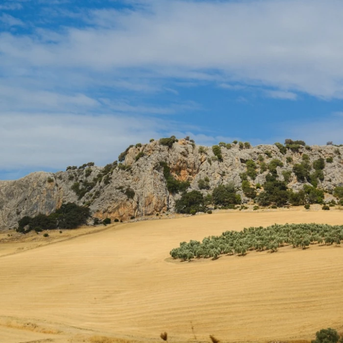 Action! Exploring Spain's Most Famous Film Locations