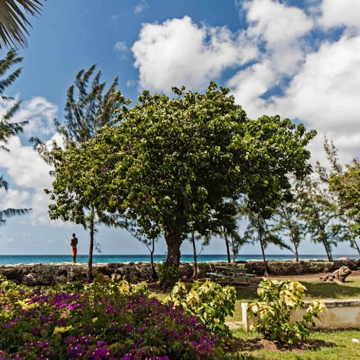 Your Essential Guide to Money and Currency Exchange in Barbados