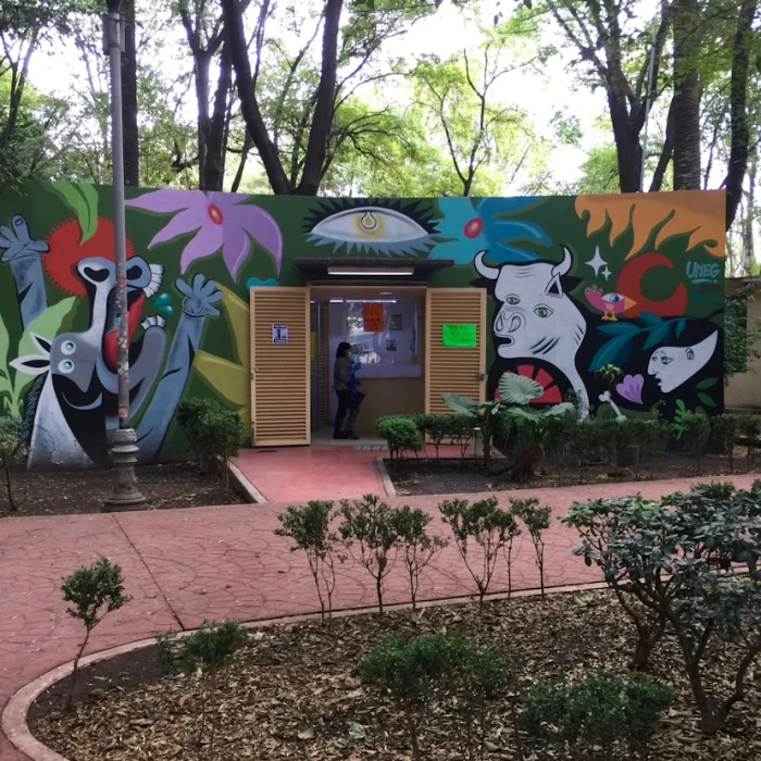 Top 10 Photography Tips for Capturing the Beauty of Mexico