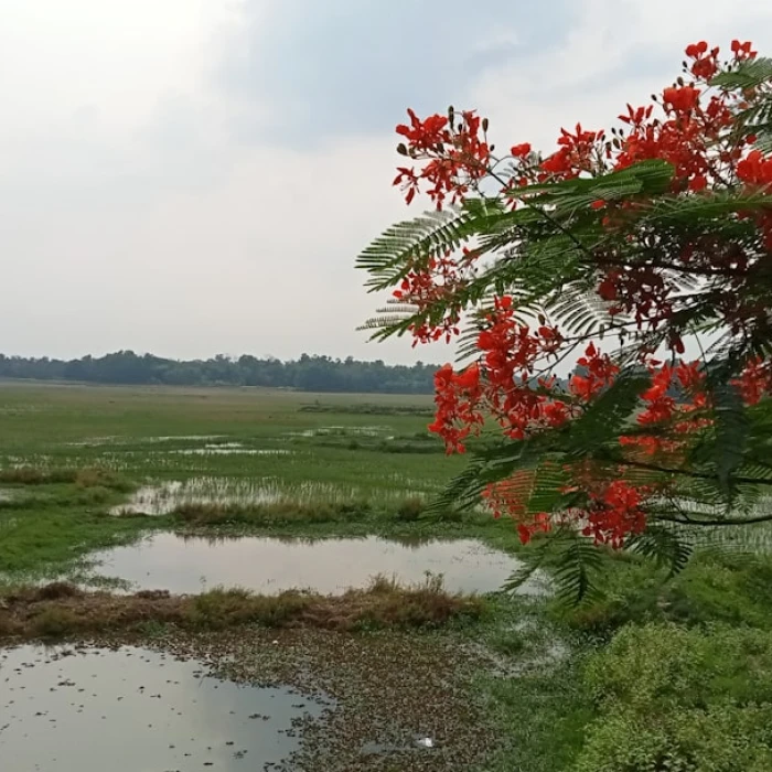 Discover Bangladesh Sustainably: Your Ultimate Guide to Eco-Friendly Travel