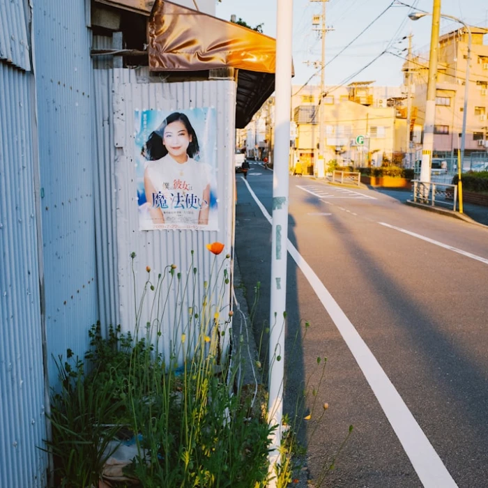 Japan's Public Toilets: An Ultimate Guide to Hygiene & Etiquette for Travelers