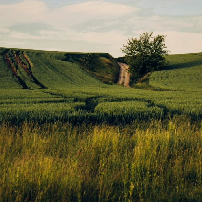 Eco-Friendly & Sustainable Travel: Navigating the Commonwealth of Independent States Responsibly