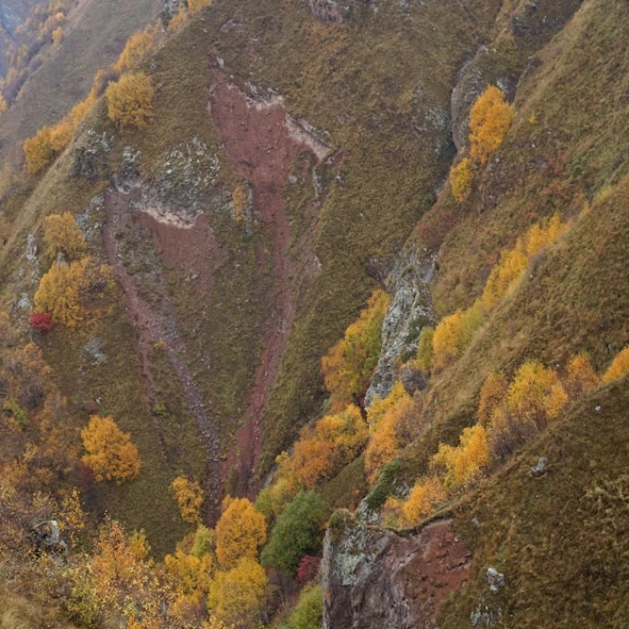 Unlock Convenience: Your Ultimate Guide to Local Delivery Apps in Georgia