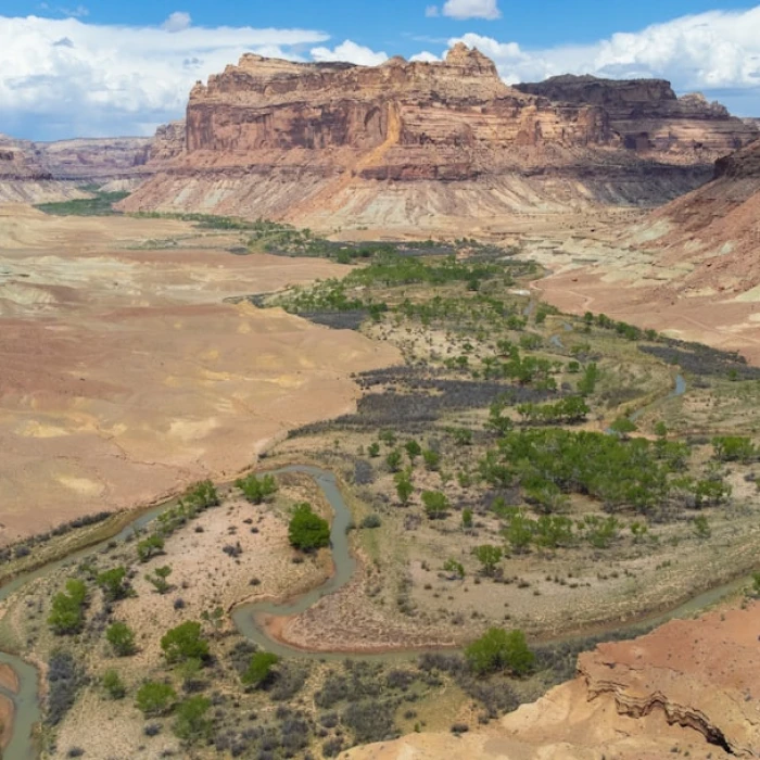Discover America's Most Enchanting Courtyards: A Traveler's Guide to Hidden Gems