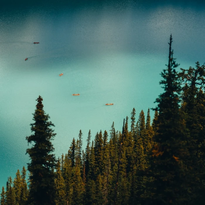 Where to Stay in North America: A Guide to the Best Neighborhoods