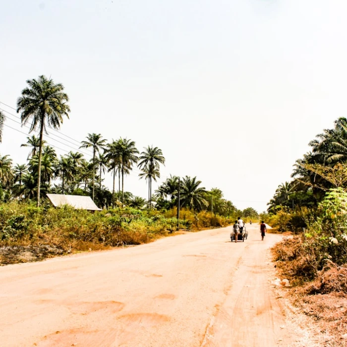 The Best Public Parks and Gardens for a Relaxing Afternoon in Nigeria