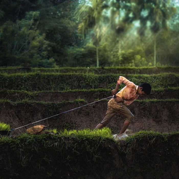 The Best Beaches in Indonesia: Sun-Kissed Sands, Epic Surf, and Tropical Paradise Escapes