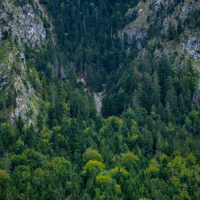 Europe's Top Bird Watching Destinations: An Essential 'Lite' Guide