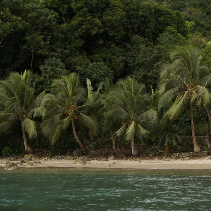 Vanuatu Moped Adventure: Your Ultimate Guide to Two-Wheeled Island Exploration