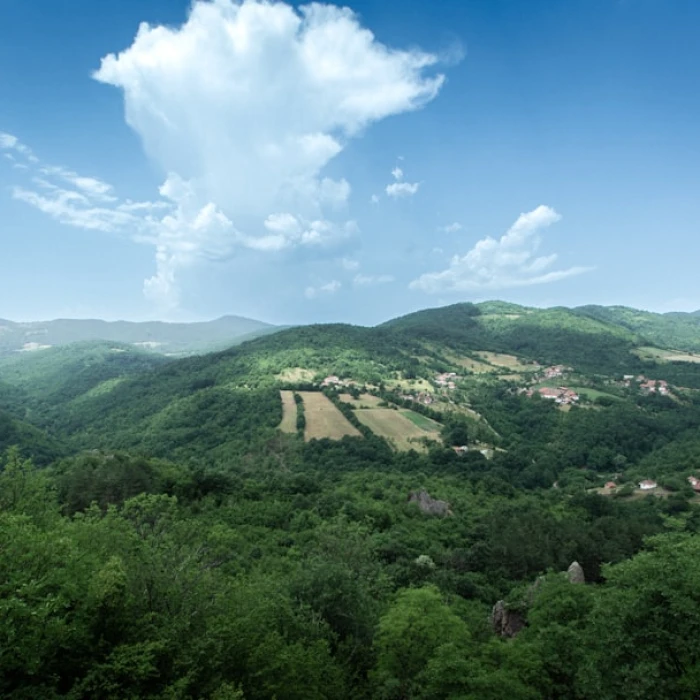 Discovering Serbia's Vibrant Coffee Culture: Your Guide to the Best Cafes