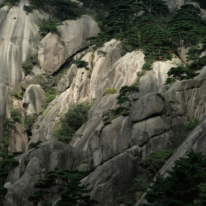 Savor China: Your Ultimate Guide to Must-Try Traditional Chinese Dishes