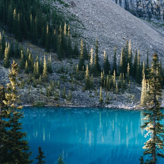 Unveiling North America's Vibrant Craft Beer Scene: Your Ultimate Exploration Guide