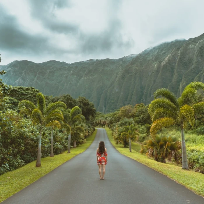 Ethical Volunteering in Hawaii: Make a Positive Impact on Your Trip