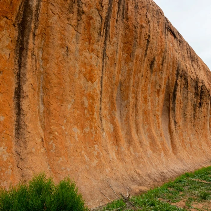 Discover Australia's Top Mountain Biking Trails: Your Ultimate Adventure Guide