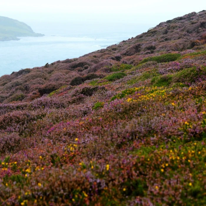 Discover the Iconic Isle of Man: Your Ultimate Guide to Famous Landmarks