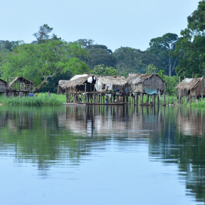 Unveiling the DRC: 10 Astonishing Facts About Congo You Never Knew