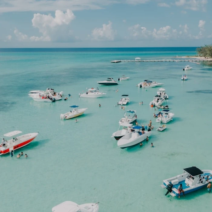 Unlock Knowledge: Your Guide to Using Cayman Islands Public Libraries