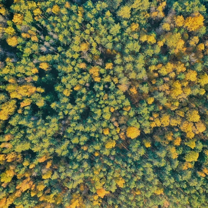 Discover Belarus's Iconic Urban Art: A Guide to Its Most Famous City Statues