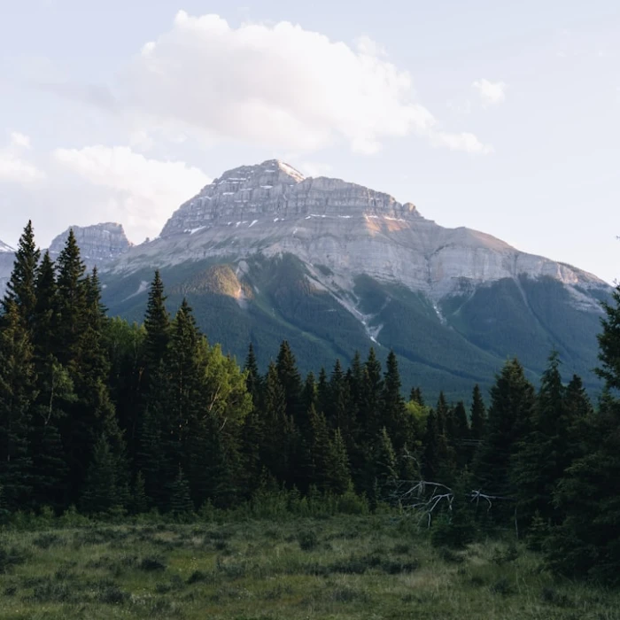 Find Fast Wi-Fi: Top Connectivity Spots in North America