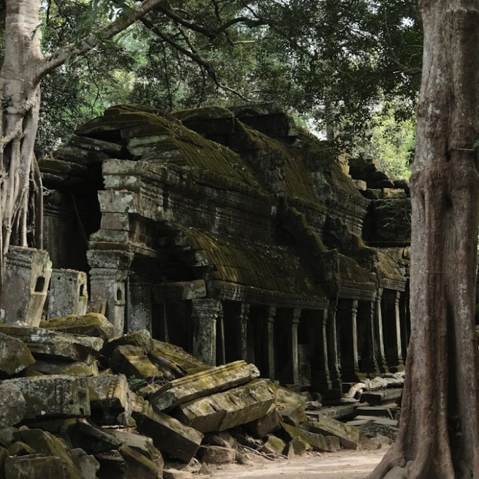 Unveiling Cambodia's Night Sky: Top Spots for Stargazing and Night Photography