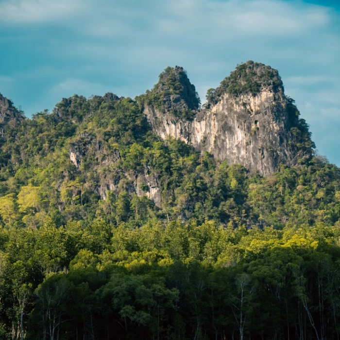 Navigating Malaysia Safely: 10 Common Tourist Scams and Essential Avoidance Tips