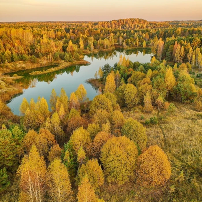 Discover Belarus's Vibrant Coffee Scene: Top Cafes for Every Caffeine Lover