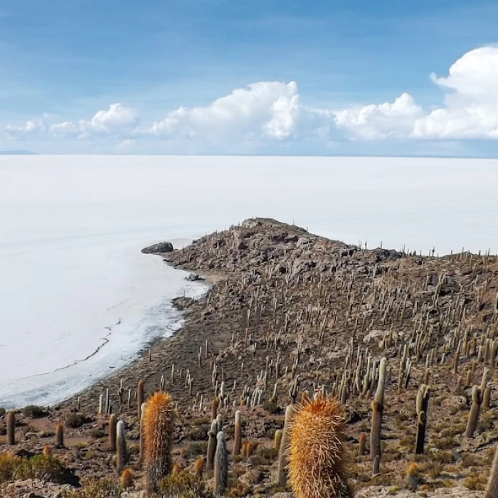 Hiking and Adventure: The Most Scenic Trails in Bolivia