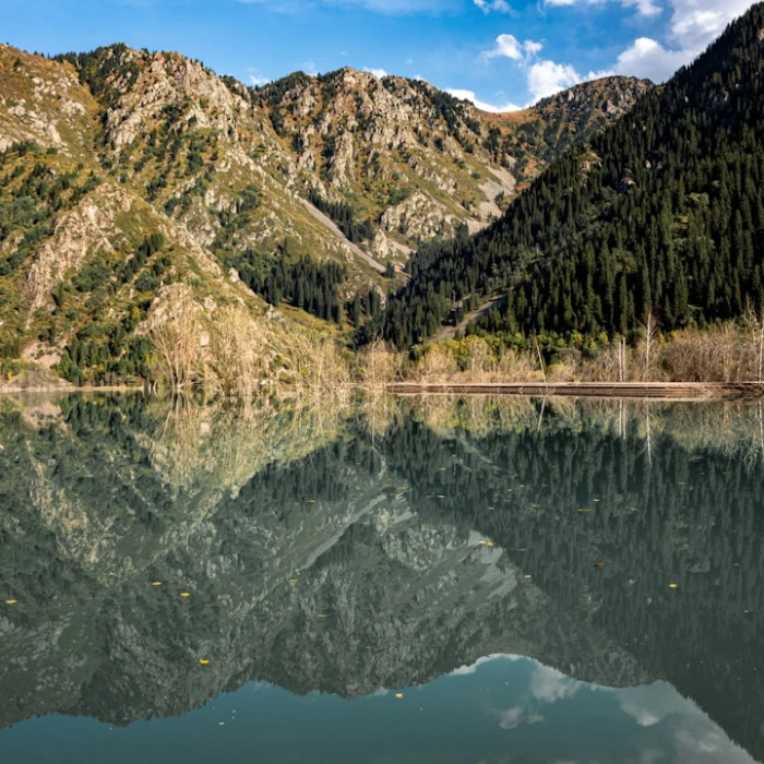 Discover Kazakhstan's Vibrant Street Art Scene: Your Ultimate Guide