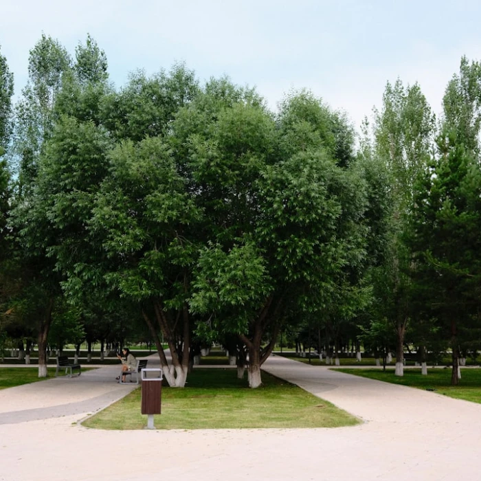 Discover Kazakhstan's Hidden Gems: The Ultimate Guide to Hot Springs & Thermal Baths