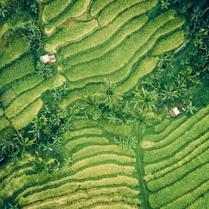 How to Travel Asia by Train: A Complete Guide to Public Transport