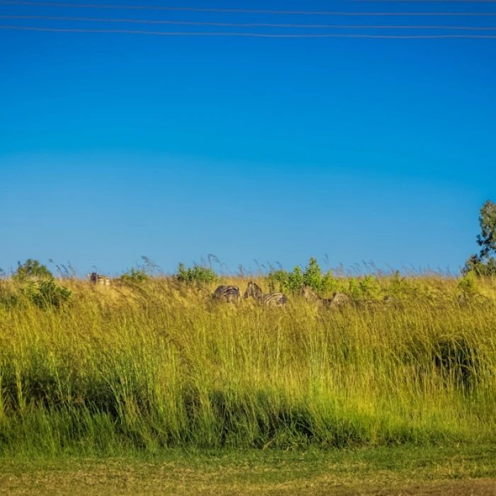 Malawi's Lifeline: Exploring the Vital Ports and Harbors of Lake Malawi