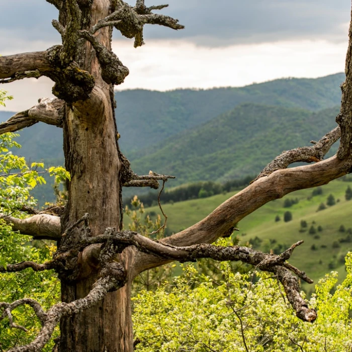 Serbia's Hidden Depths: Exploring the Best Caves & Grottoes for Adventure Seekers