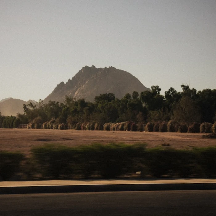 Discover Egypt's Most Stunning Libraries & Bookstores: A Literary Journey