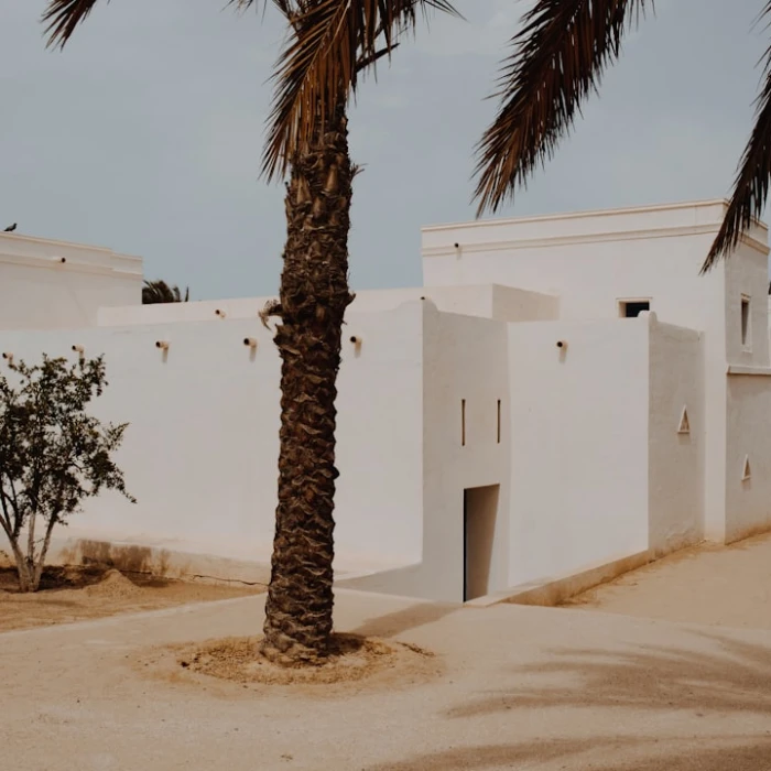 Unlocking Tunisia: Your Ultimate Guide to Digital Nomad Life & Remote Work Hotspots
