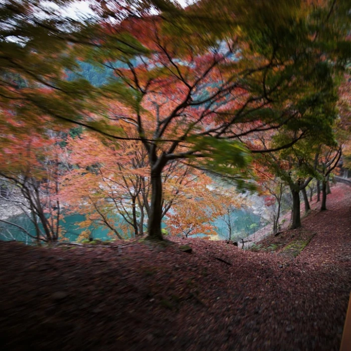 How to Navigate Japan’s Airports Like a Pro: Your Ultimate Guide