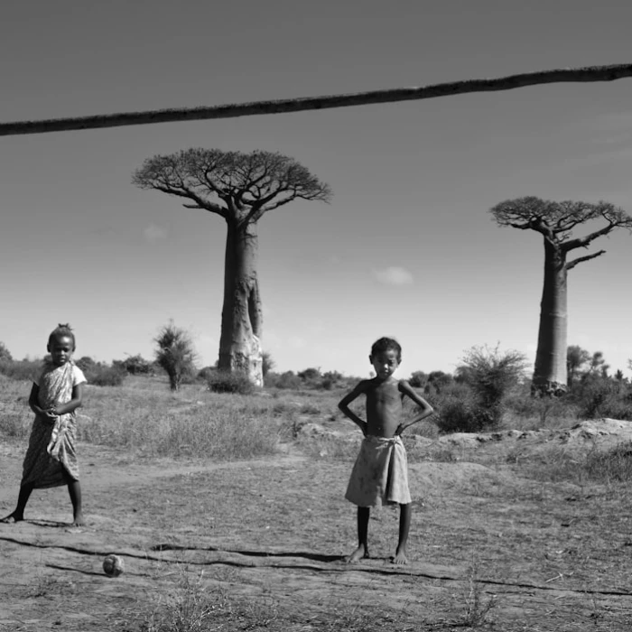 Madagascar's Sweetest Secrets: Uncovering the Best Local Ice Cream Shops