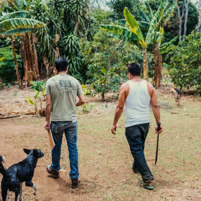 Navigating Nicaraguan Restrooms: An Essential Guide for Travelers