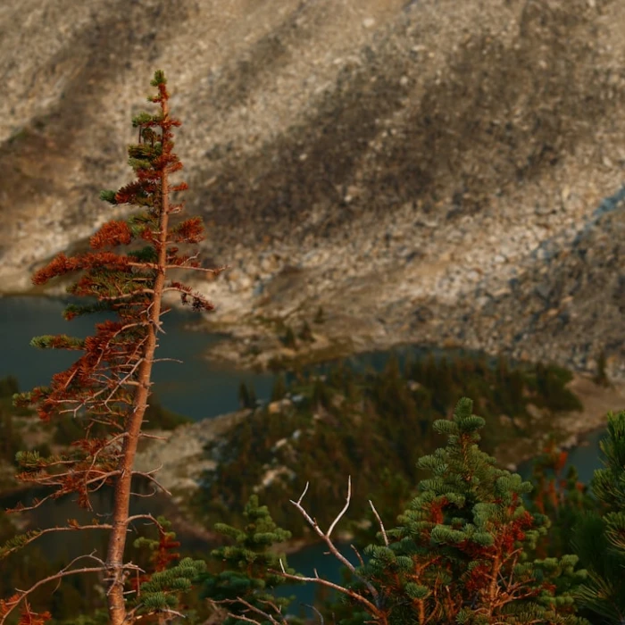 Essential Canada Travel Apps: Your Ultimate Guide for a Seamless Trip