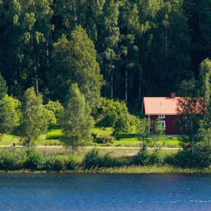 Discover Sweden's Iconic City Statues: Your Ultimate Guide to Public Art & History