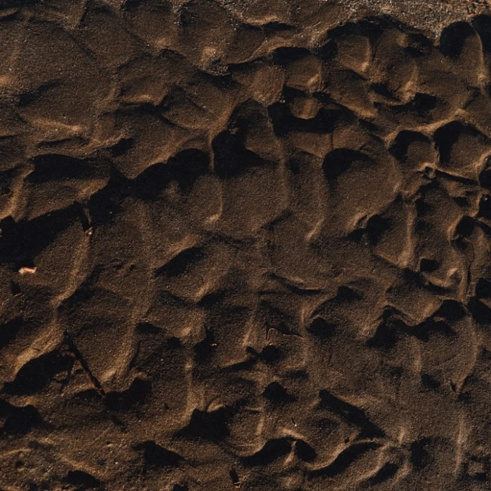 Discover Bulgaria's Literary Soul: A Guide to the Best Local Book Markets