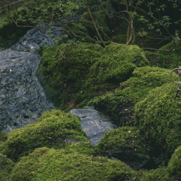 Your Ultimate 48-Hour Itinerary: Discovering St. Helier, Jersey's Vibrant Capital