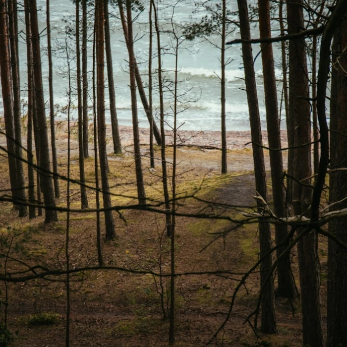 Escape the Noise: Discover the Best Silent Retreats in Europe for Ultimate Peace