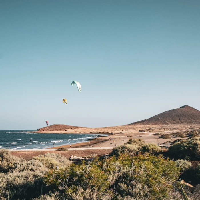Unveiling the Past: A History Lover's Guide to the Ancient Sites of the Canary Islands