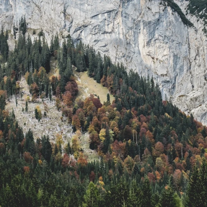 The Crucible of Nations: Definitive Battles Shaping CIS History