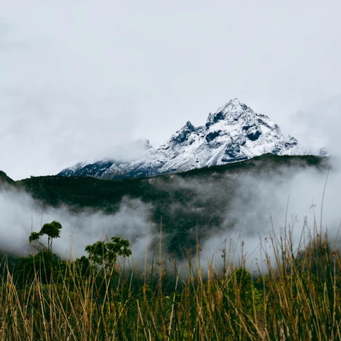Ecuador Tipping Guide: Navigating Service Fees & Culture
