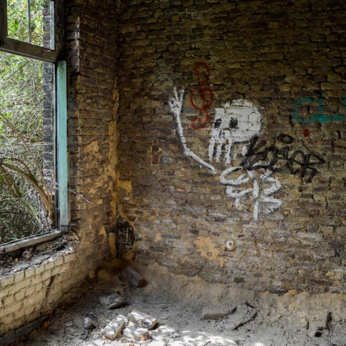 Soar High: Discover Belgium's Top Paragliding and Skydiving Destinations