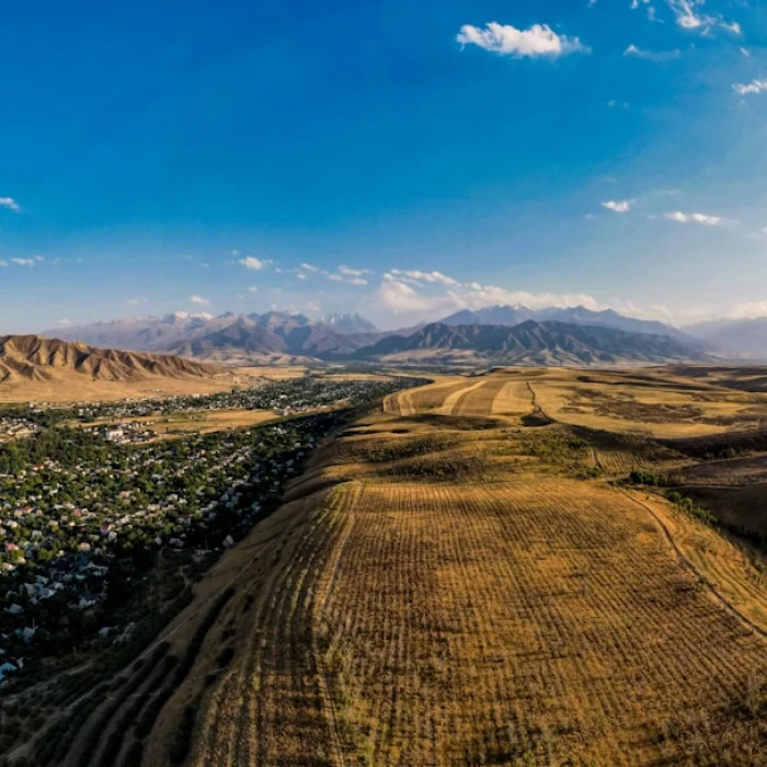 The Best Street Food Markets in Kyrgyzstan You Can't Miss