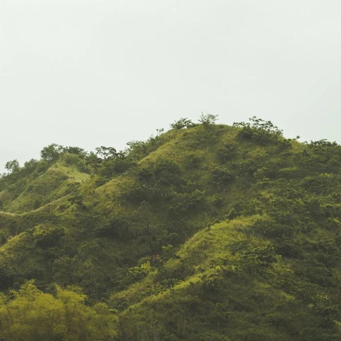 A Beginner's Guide to Using the Metro in Jamaica