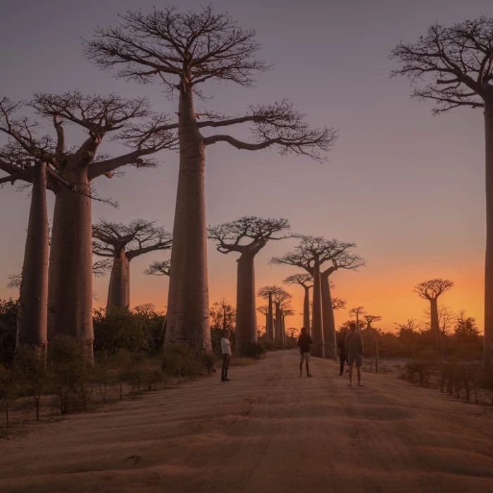 Madagascar's Island Paradises: Discovering the Most Beautiful Shores