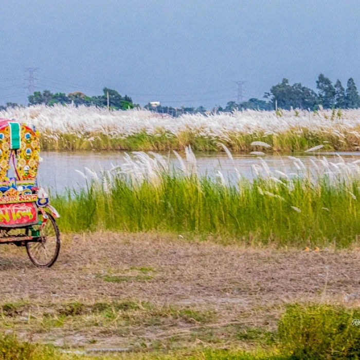 10 Common Tourist Scams in Bangladesh and How to Avoid Them